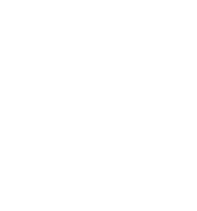 Jon Wade Guitars Logo