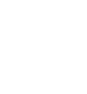 Jon Wade Guitars Logo